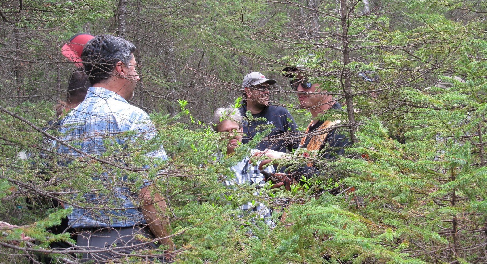 La Tuque lance un appel de projets en Mauricie