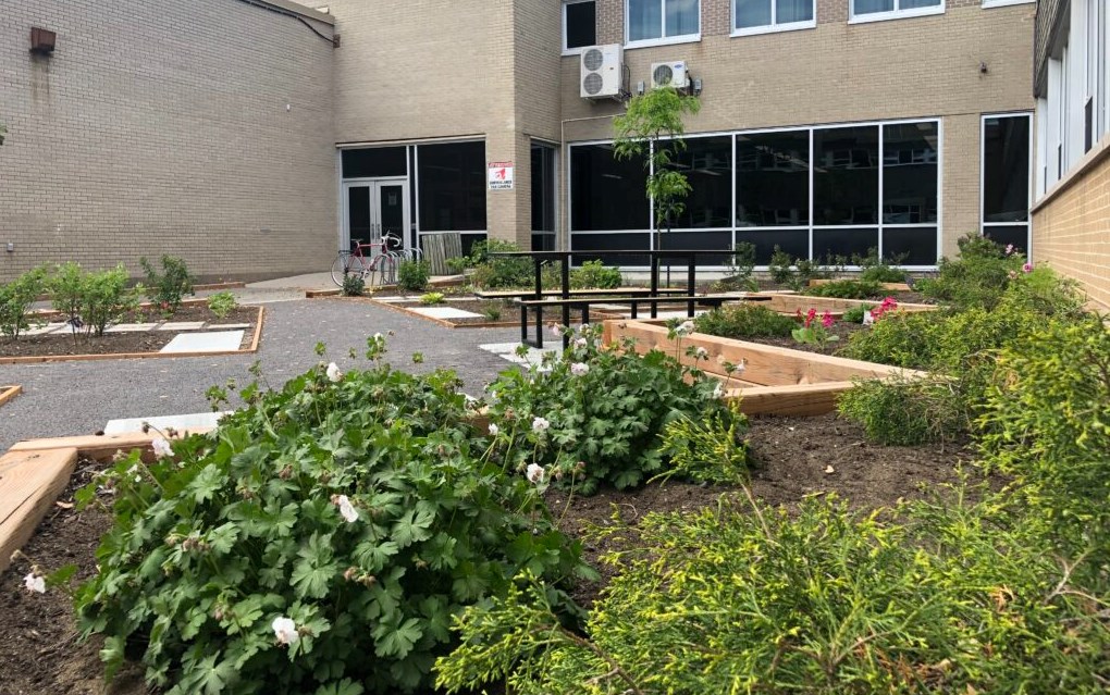 Inauguration de la cour verte pour une école en santé