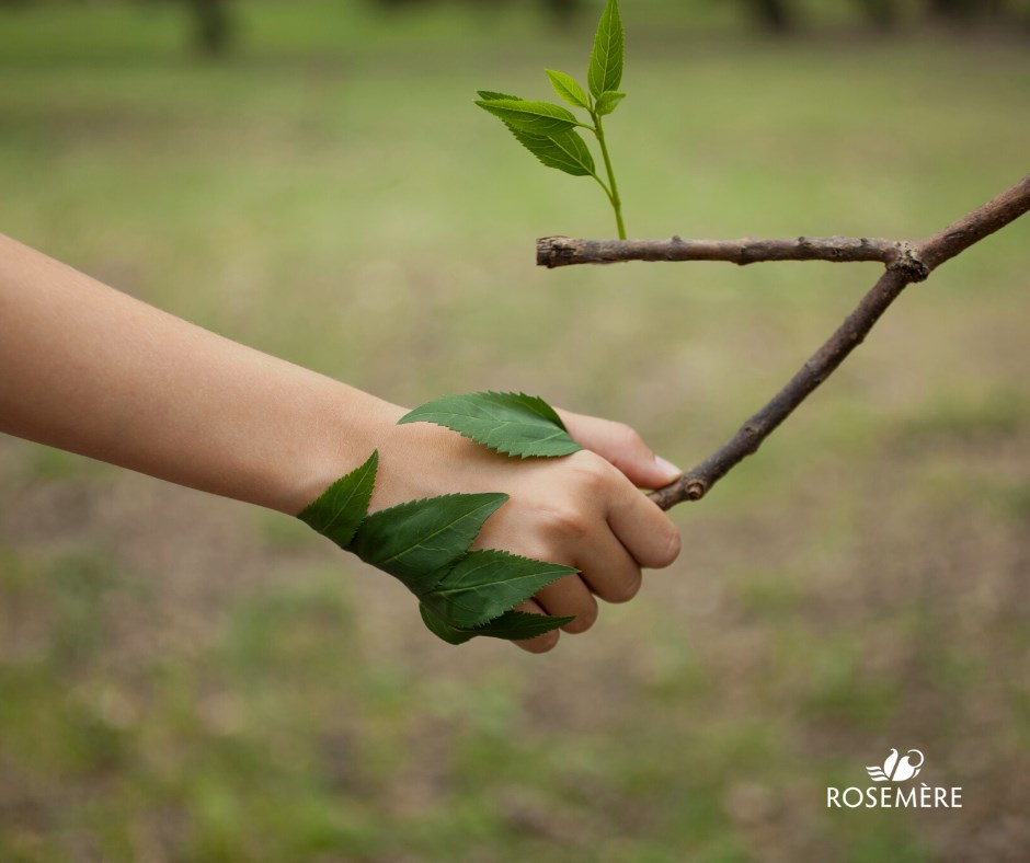 Des élèves du primaire et du secondaire plantent des arbres ensemble
