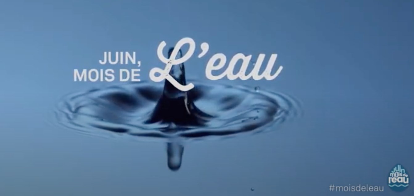 Le BVSM organise des activités pour le Mois de l'eau