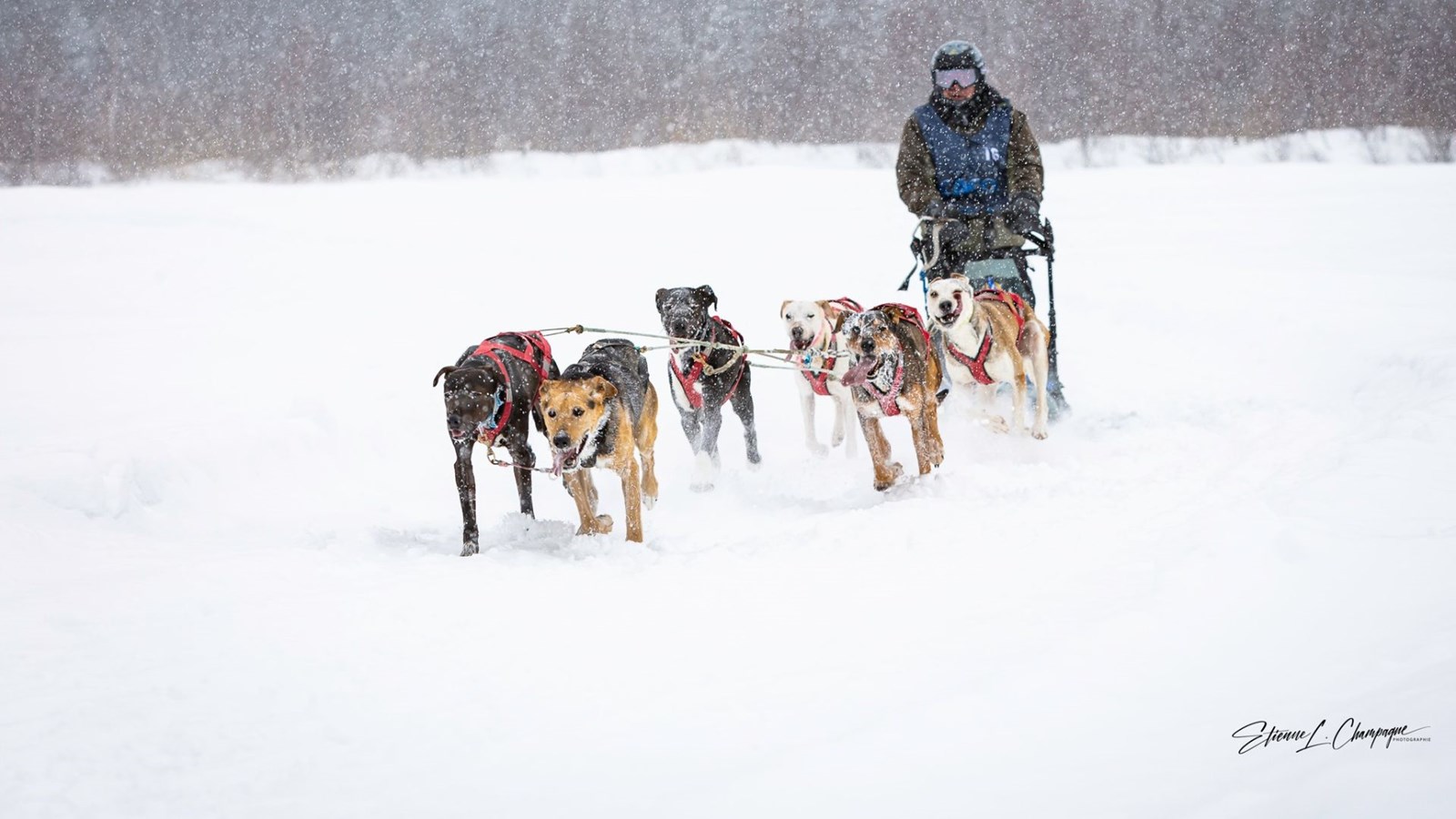 Le Défi Mauricie revient pour une 18e année cette fin de semaine