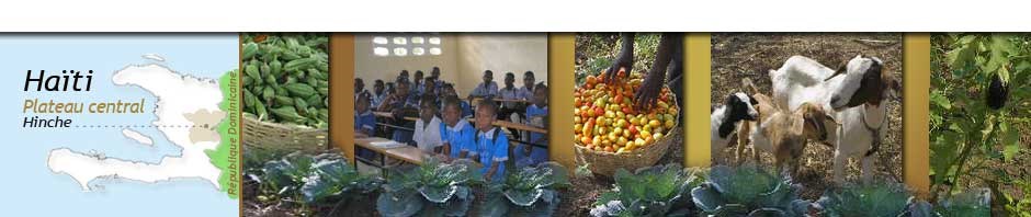 Solidarité-Haïti : Rhum-Chocolat le 3 novembre à Brompton