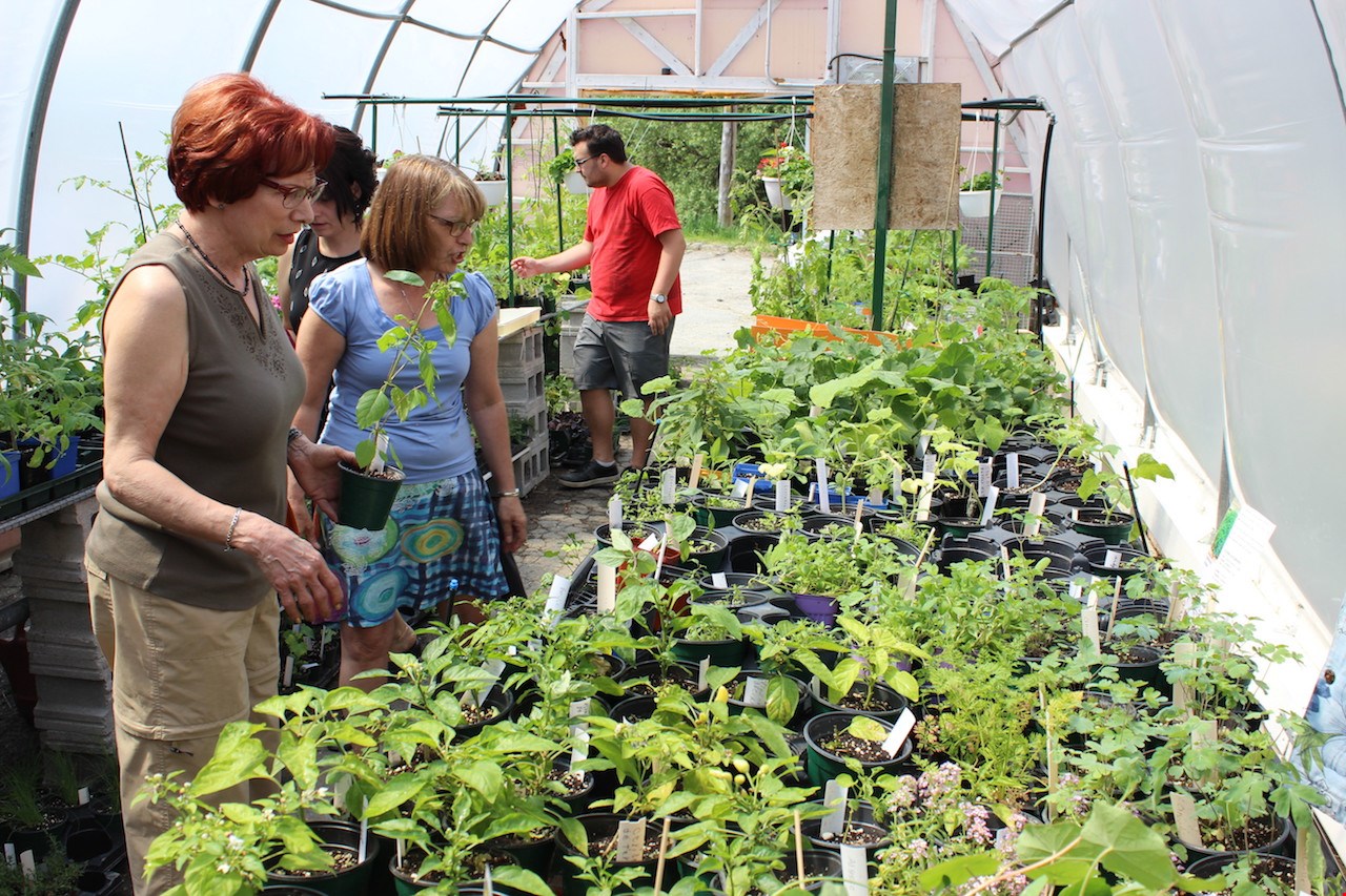 Belle affluence pour les ventes de la Coop Jardi-Serre de Windsor