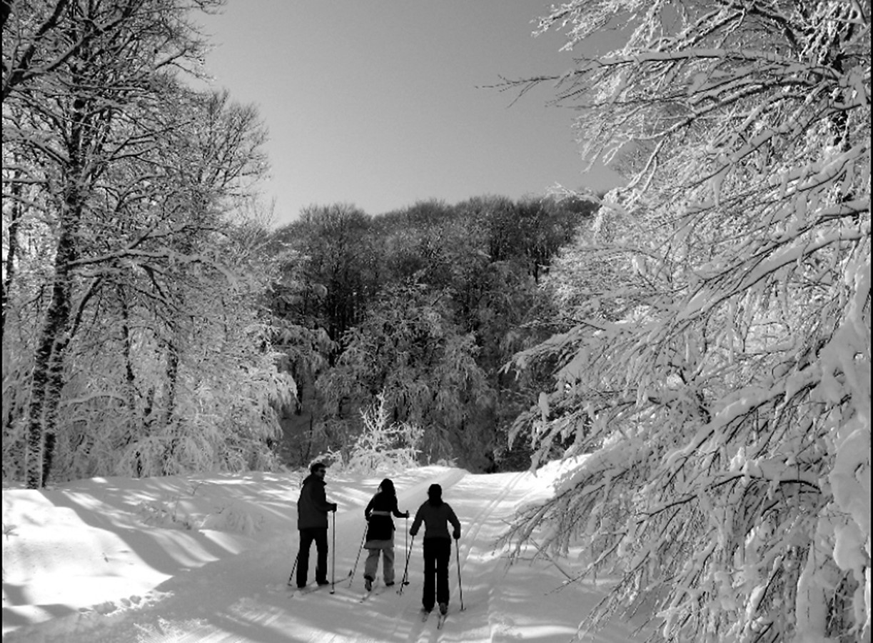 Assemblée annuelle du Centre de ski de fond