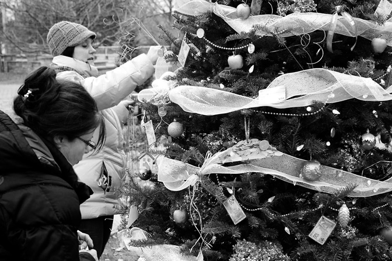 Plonger dans la magie de Noël