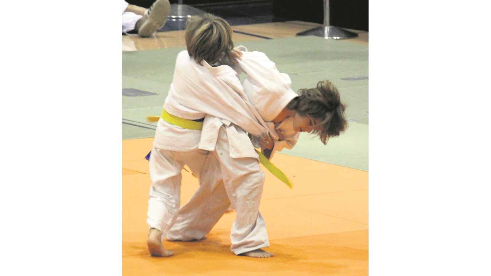 Sur 27 judokas présents à cette compétition, 23 médailles ont été remportées.