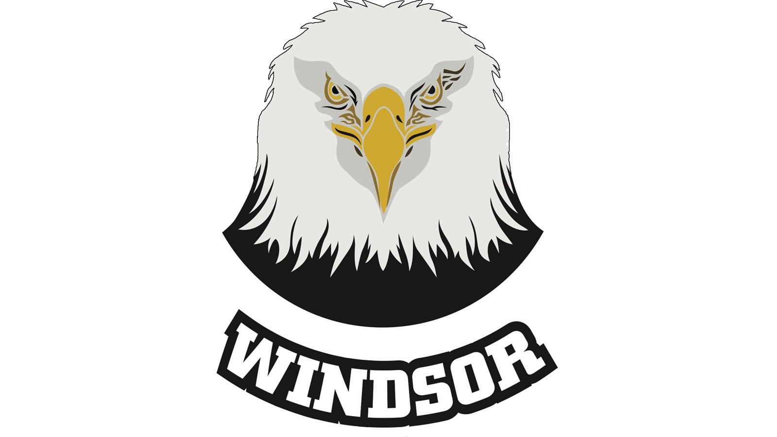 Le nouveau logo de la crosse mineure de Windsor.