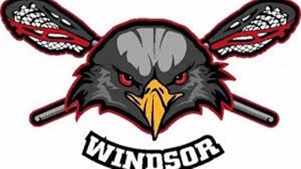Les Aigles séniors à un match d’une saison parfaite