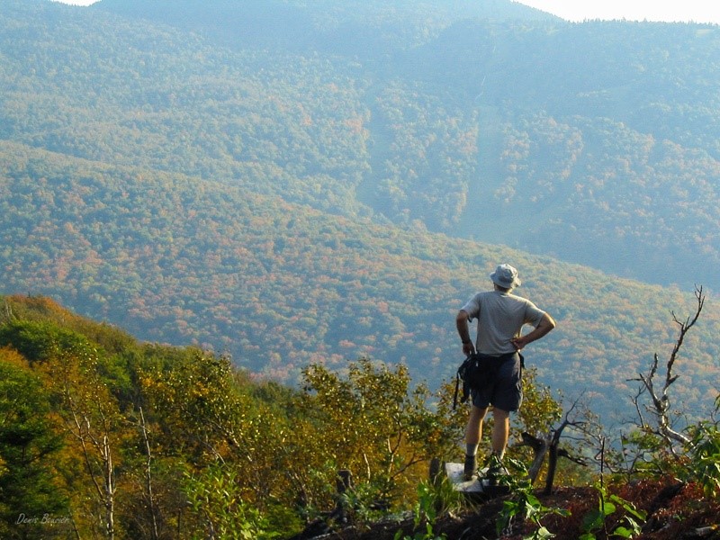 Cet été, tous en forêt avec les Sentiers de l’Estrie