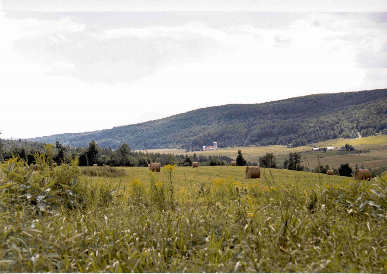 La piste de la Cantonnière prête pour la période estivale