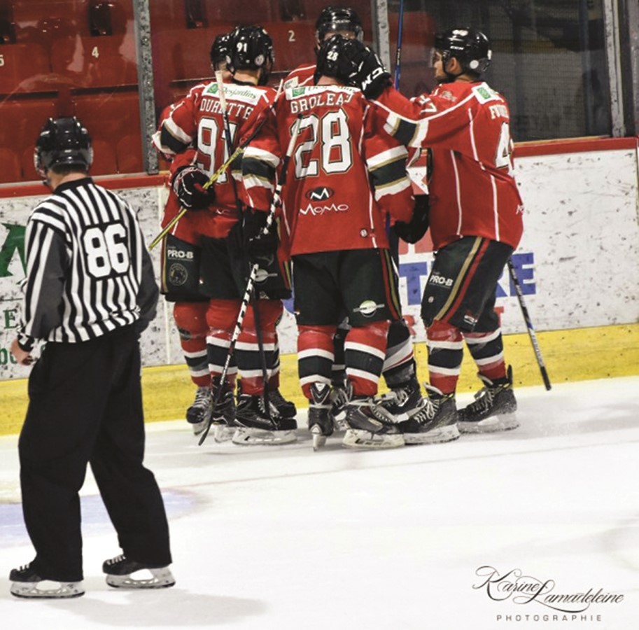 Le Desjardins-Wild a mis fin à une série de cinq défaites consécutives en disposant du Mécanarc de Donnacona 4-2 vendredi soir. 