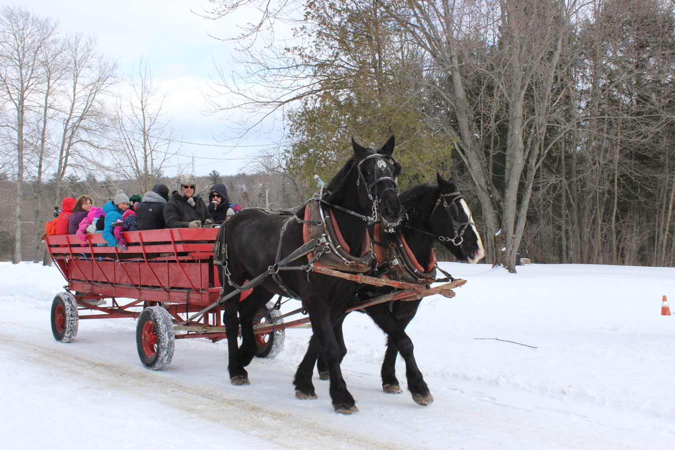 Plaisirs d’hiver à Windsor : une glissoire achalandée!