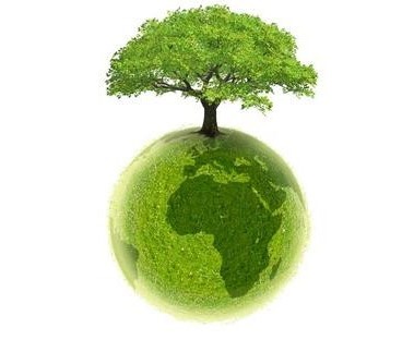 Journée de distribution gratuite de compost et d’arbres à Danville