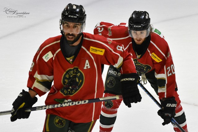 Wild de Windsor : Ladouceur, Sbrocca et trois autres de retour