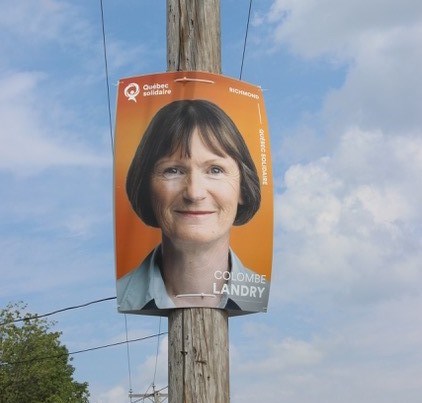 Des pancartes électorales nombreuses dans le comté de Richmond
