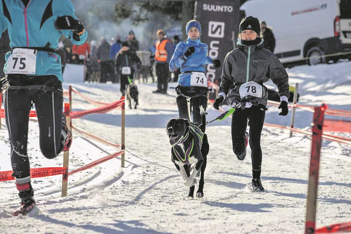 Courses de chiens dans les sentiers de la Poudrière