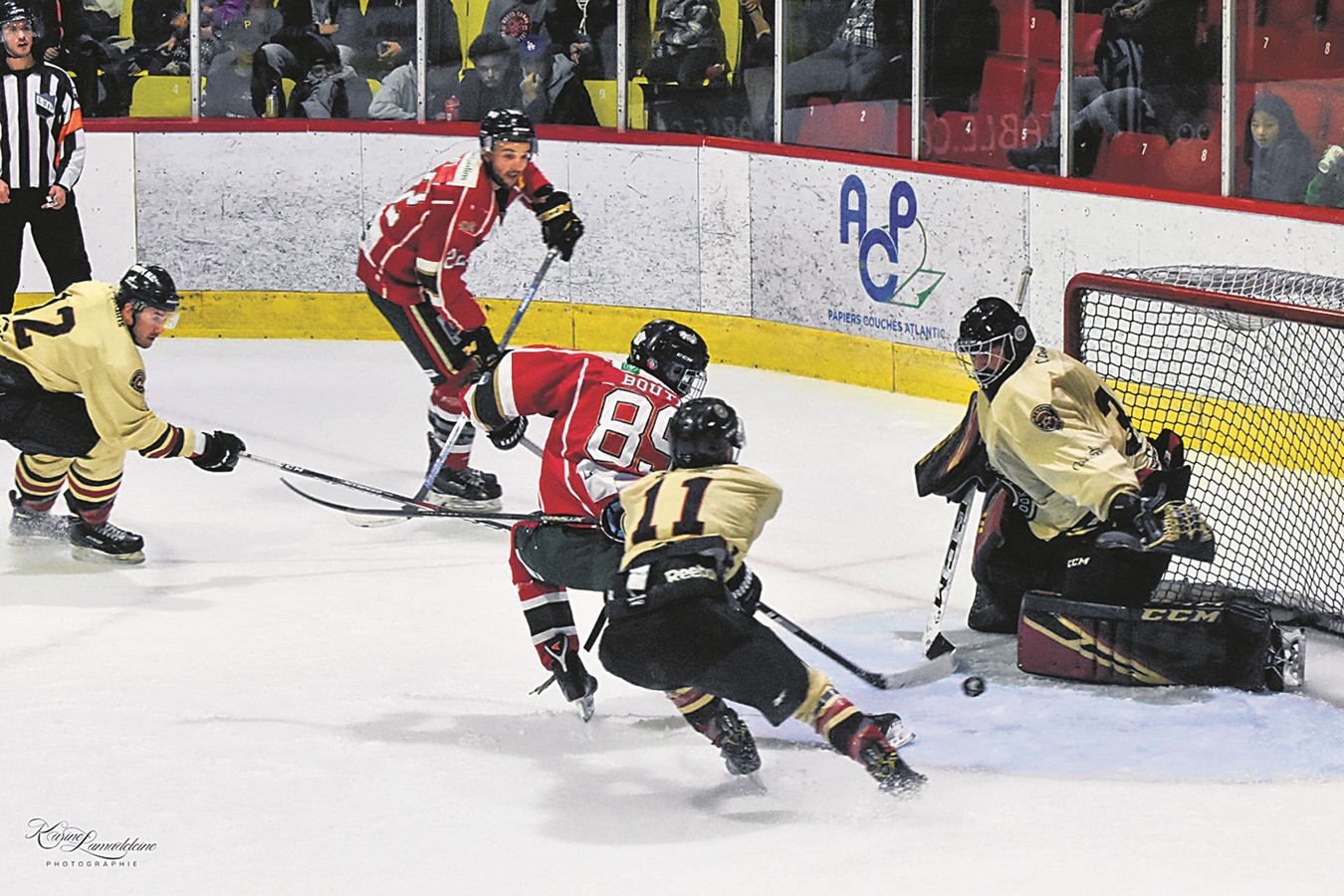Le Desjardins-Wild venge sa défaite de vendredi contre Coaticook