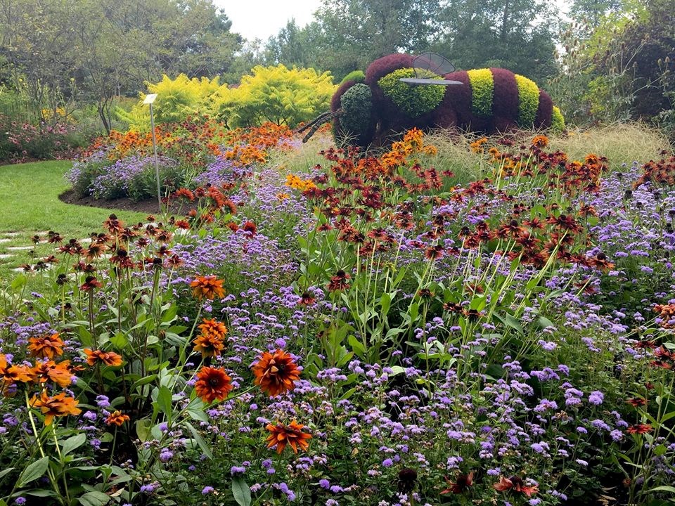 Un été sans événement au Parc Marie Victorin, mais pas sans fleurs!