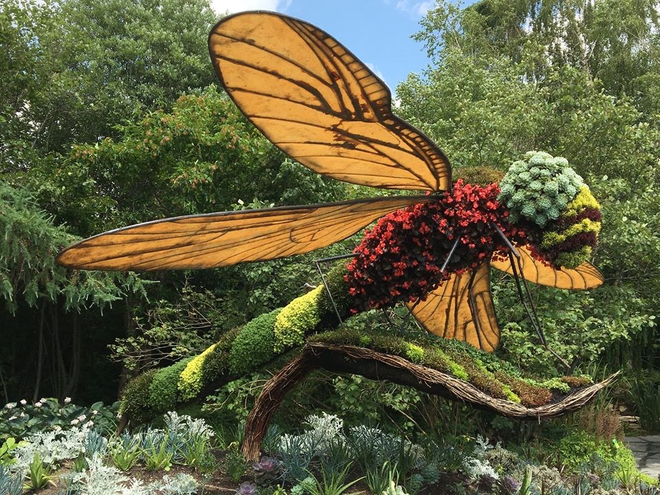 Un été sans événement au Parc Marie Victorin, mais pas sans fleurs!