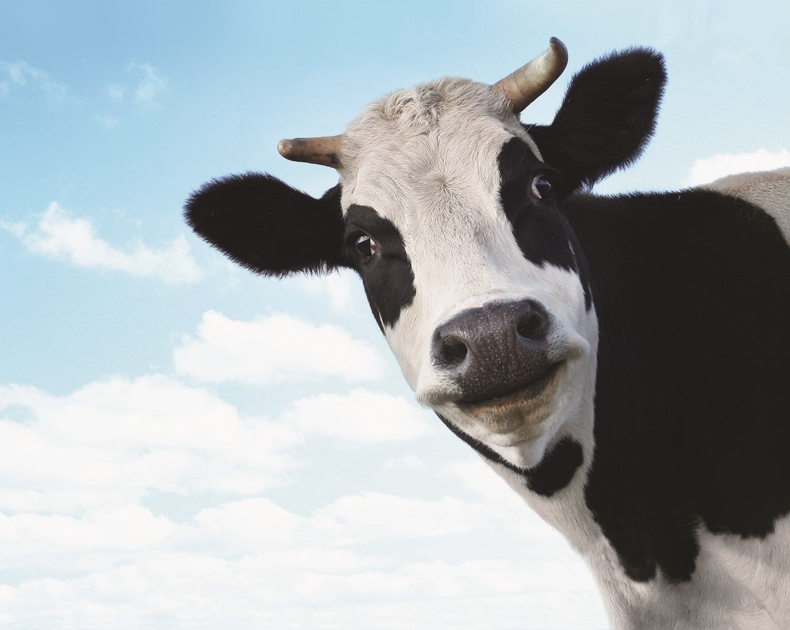 Célébrons le lait québécois et son industrie !