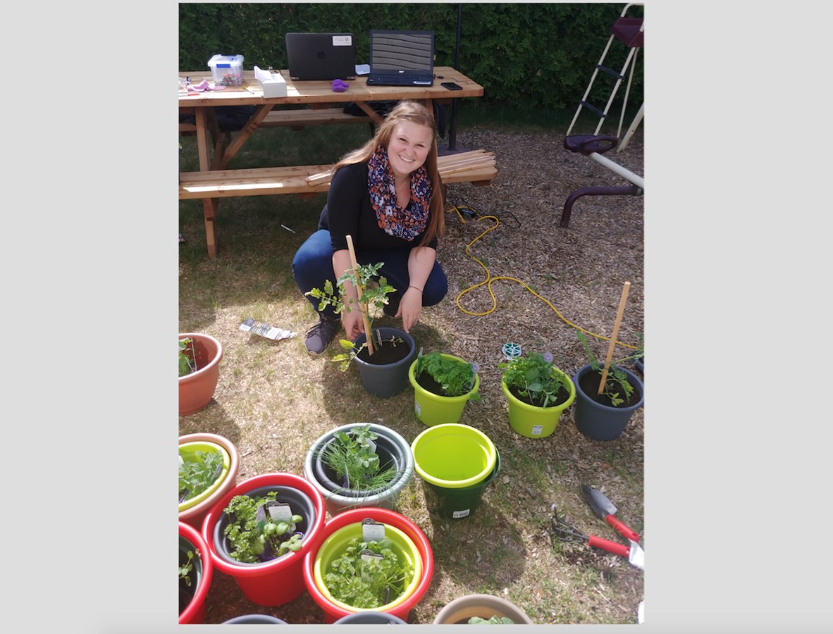 Le potager des confinés