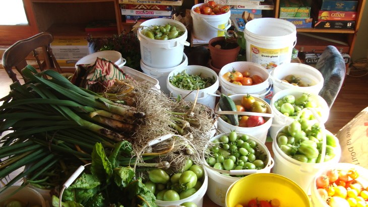 Autonomie alimentaire : lancement d’un important dialogue entre le monde agricole et les citoyens