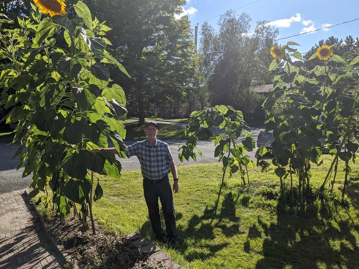 Un parterre qui attire les regards à Danville