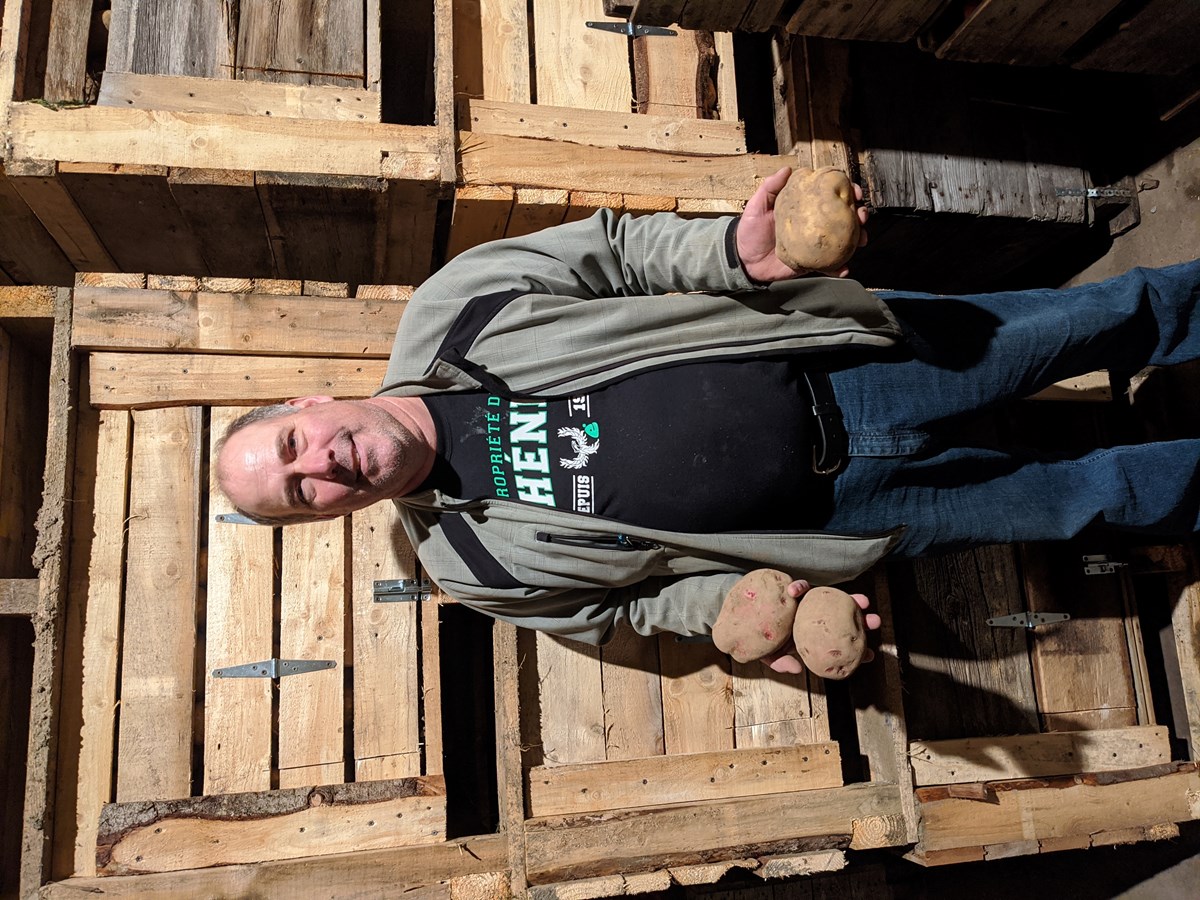 Un nouveau producteur de pommes de terre aspire à nourrir « sa région »