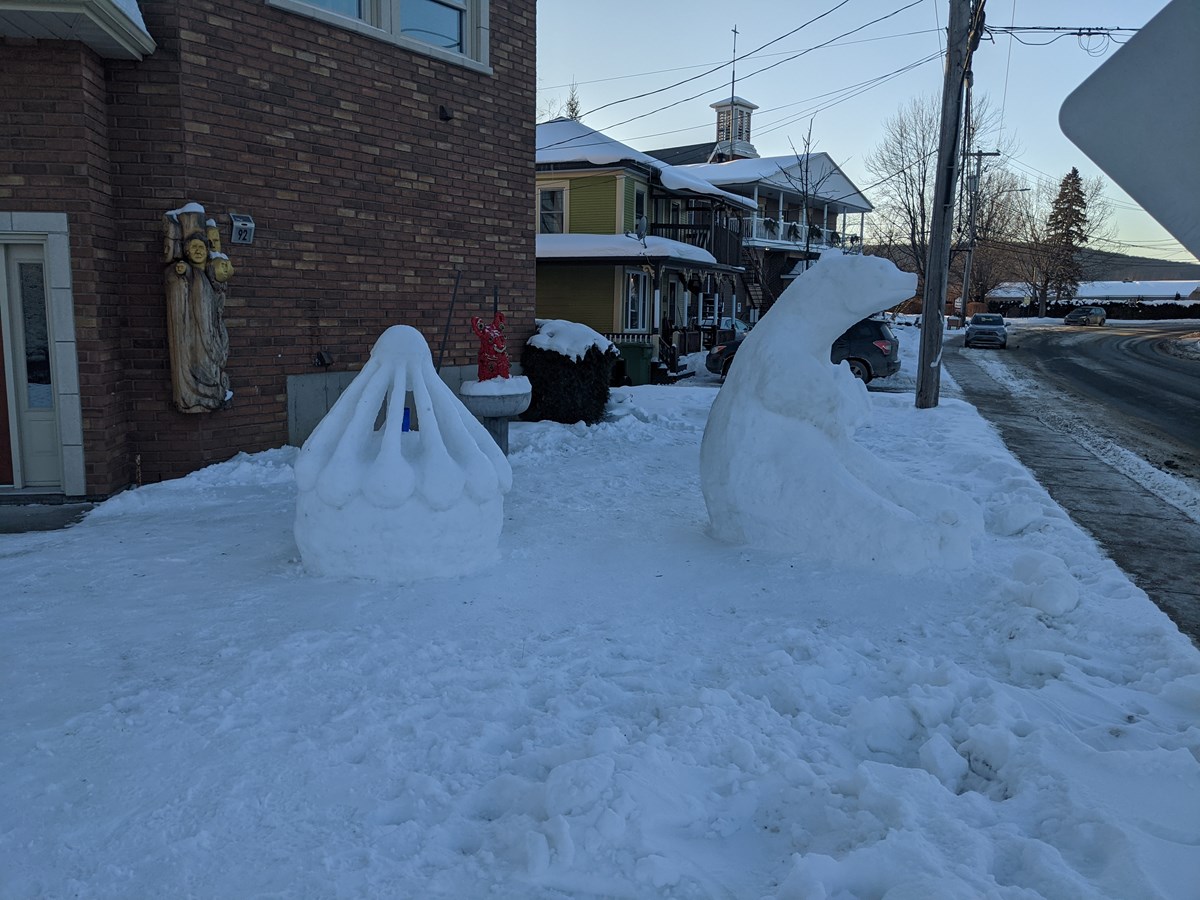 Un peu de plaisir et d’art hivernal à Danville
