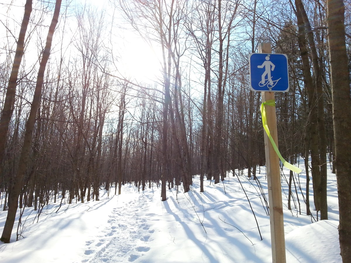 Richmond et ses Jeunes et le Centre de ski de fond offrent une activité en raquettes