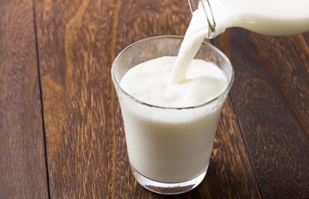 Les laits végétaux plus nutritifs que le lait ? Faux
