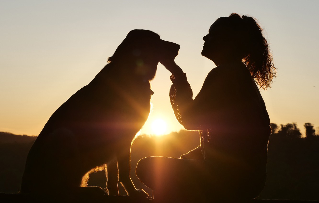 Comprendre la conscience des animaux