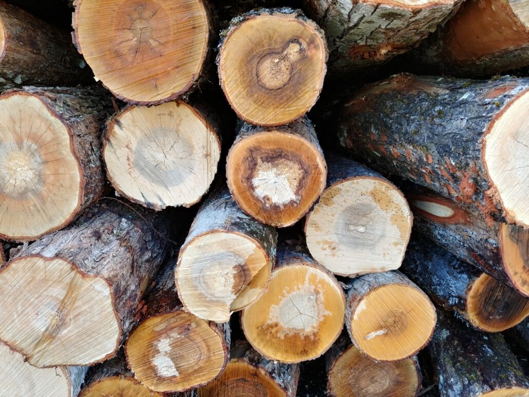 Négociation collective : les producteurs forestiers du sud du Québec en attente