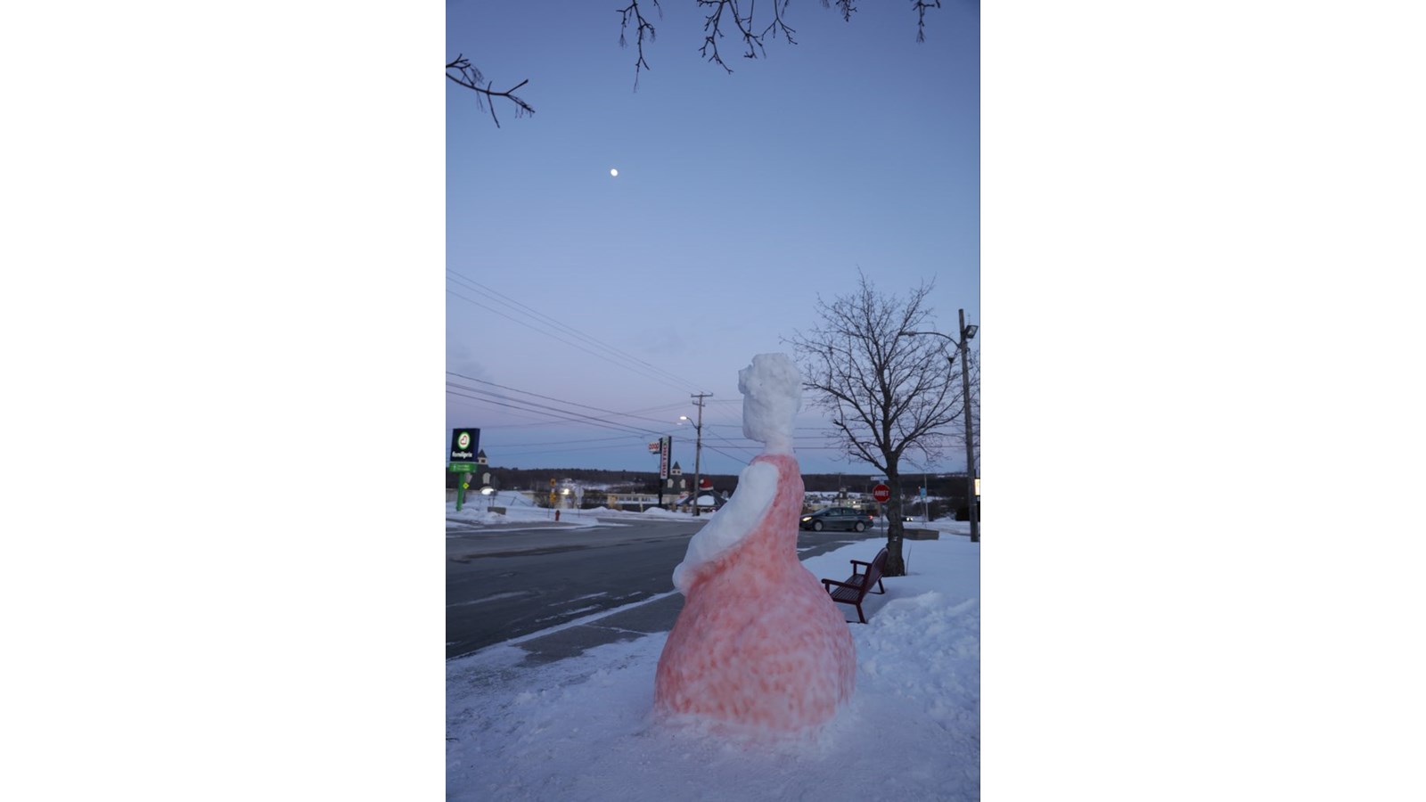 Valentine de Mélanie Gauthier