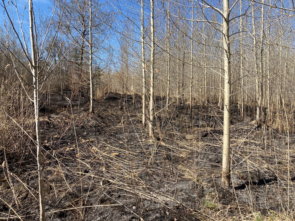 Les conditions climatiques installées depuis quelques jours ont sans doute contribué à la propagation des flammes.