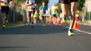 Retour de la Course du Tournesol
