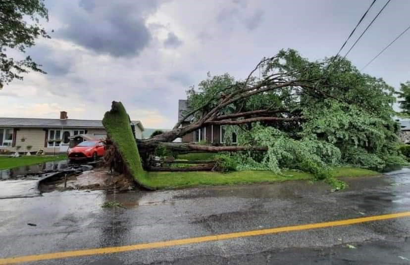 Un lendemain de tempête difficile dans le secteur des Trois Lacs de Val-des-Sources