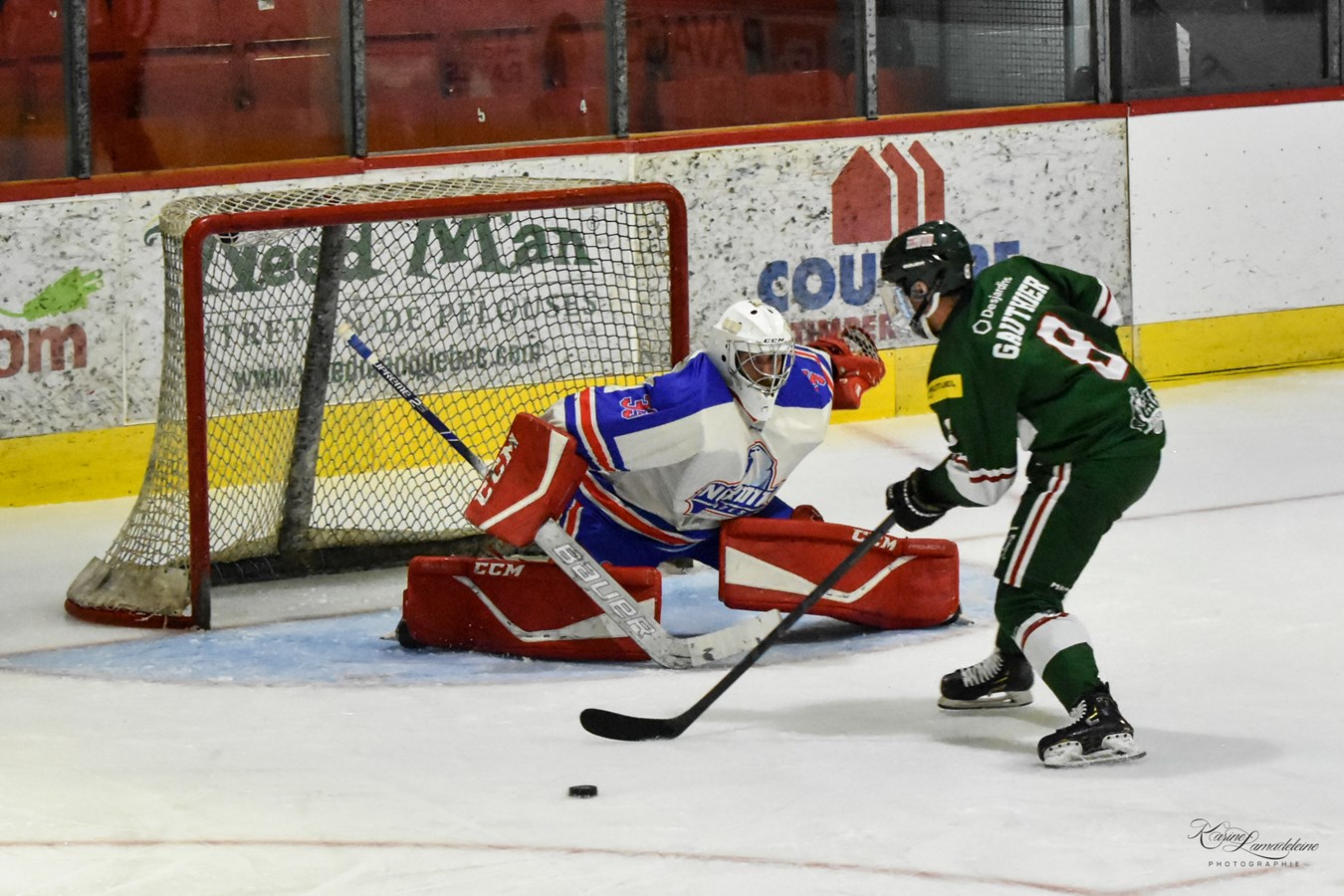 Windsor sans pitié pour le Nordik Blades