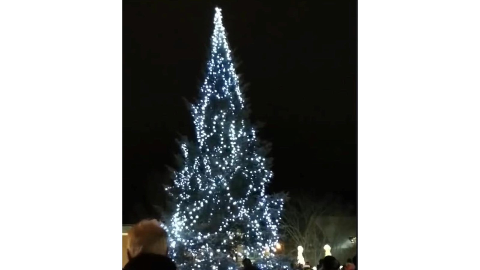 On procédera à l’illumination du grand sapin et lancera les festivités