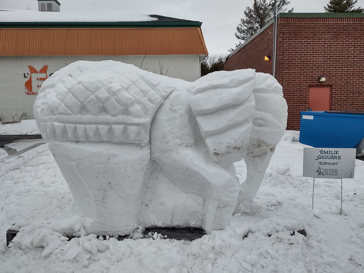 Une première édition de l’Hivernale fort appréciée des participants