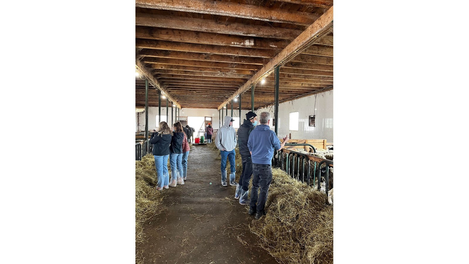 Visite de la ferme Noble Hills de Danville par les élèves lors de l’édition de 2022.