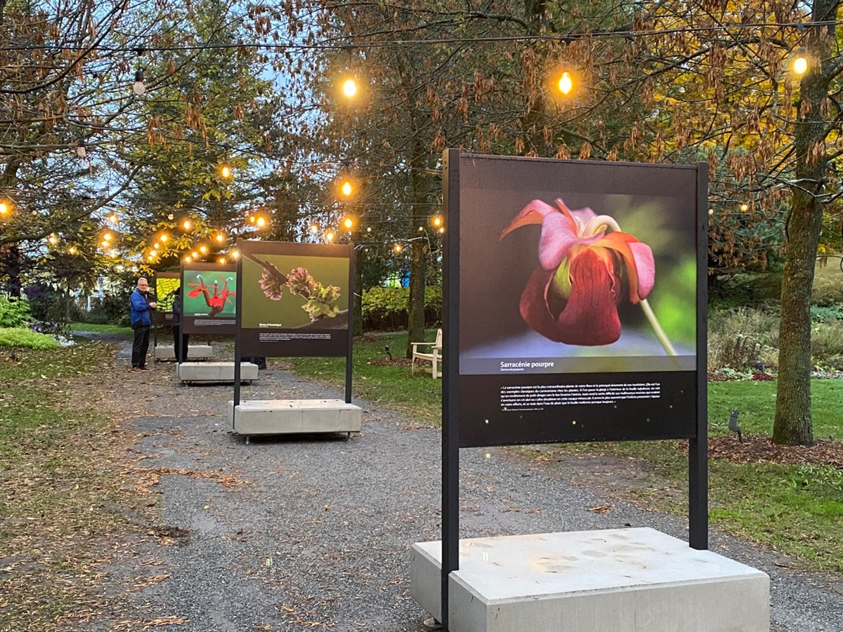 Une 38e saison touristique pour le jardin botanique de Kingsey Falls