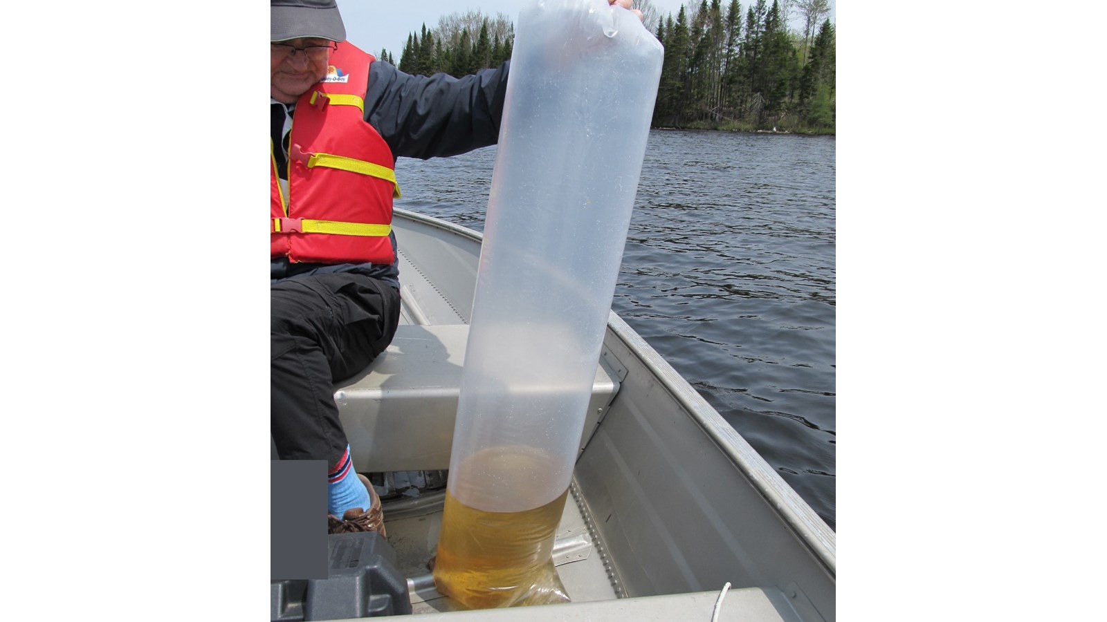 Le projet pilote vise à restaurer les populations de dorés dans le lac et à améliorer, à terme, l’offre de pêche pour les résidents et les visiteurs.