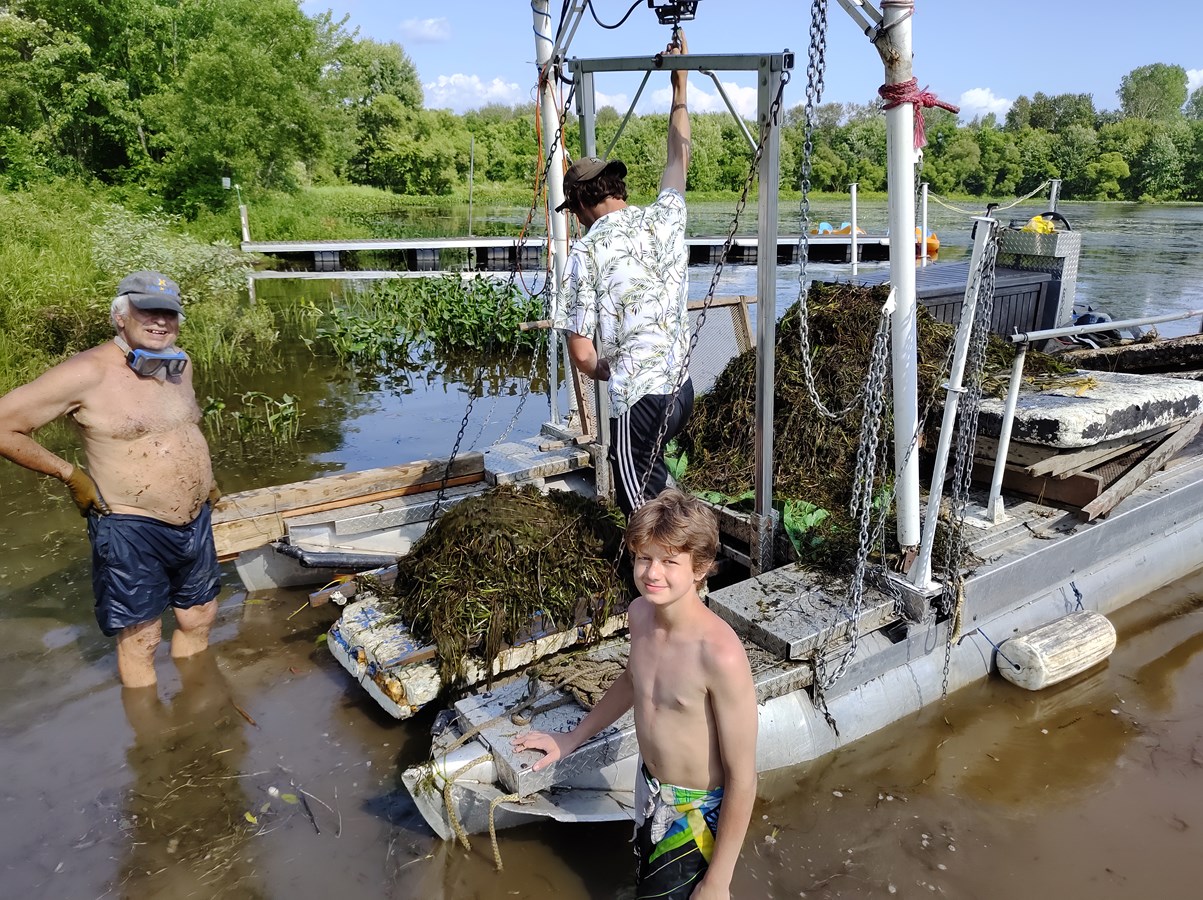Une formation offerte en arrachage de myriophylle à épis en rive