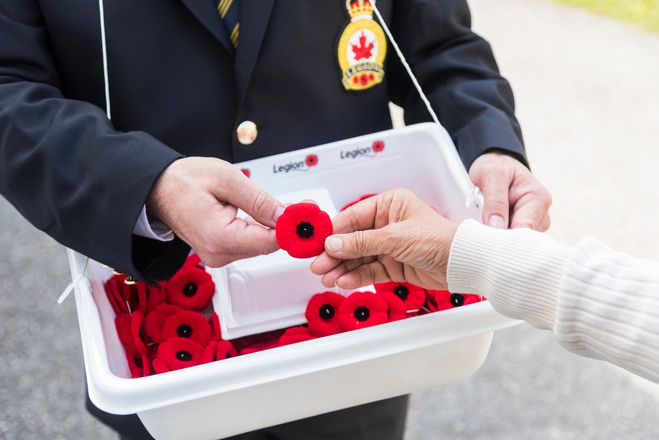 Des plateaux de coquelicots seront installés à divers endroits au cœur des villes de Val-des-Sources, Windsor et Danville.