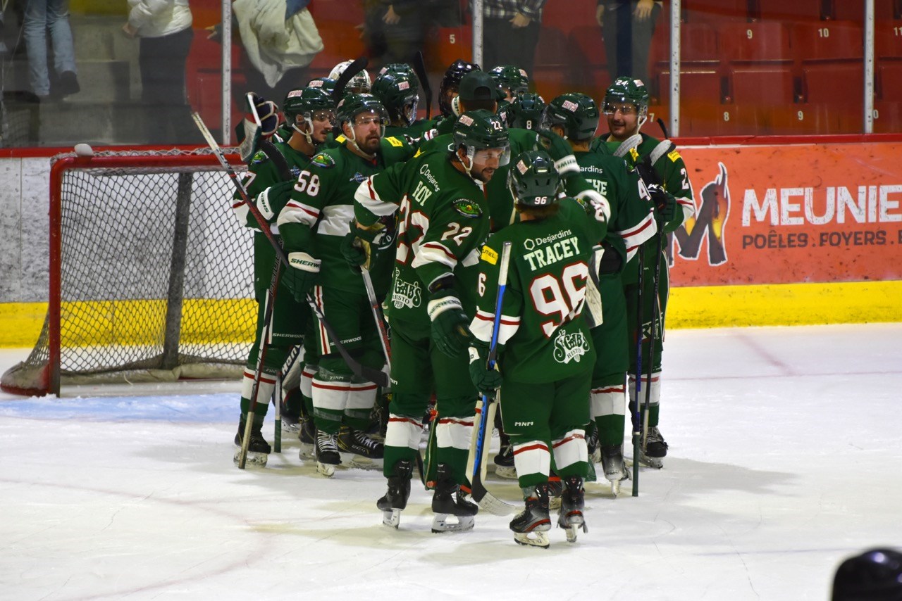 Le Nordik Blades laisse filer deux points aux mains du Desjardins-Wild