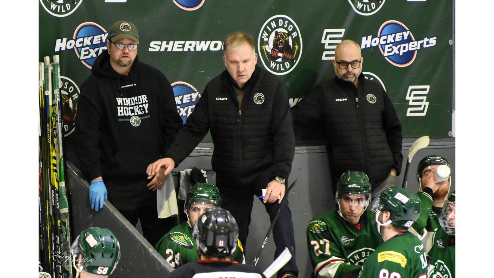 Le Wild congédie son entraîneur-chef