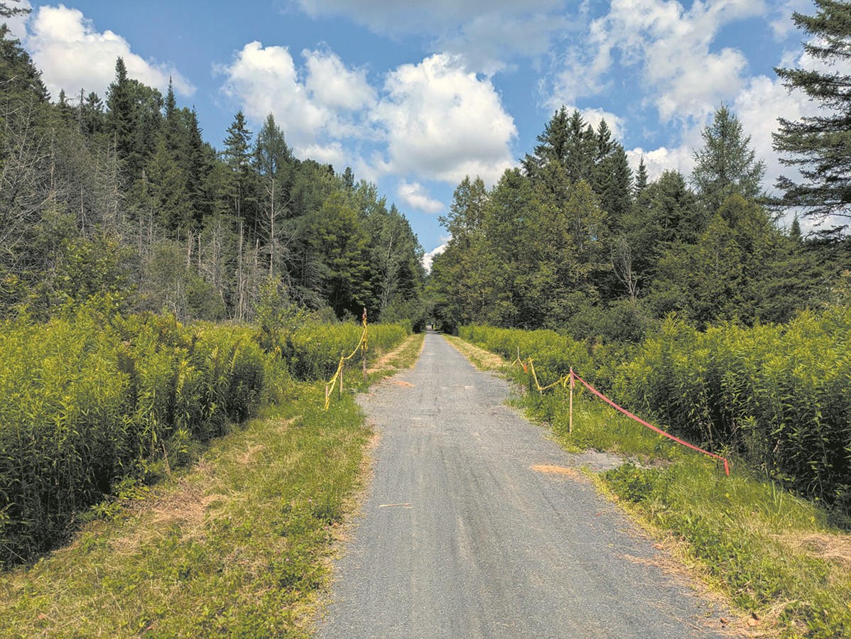 Travaux sur le sentier de la Vallée