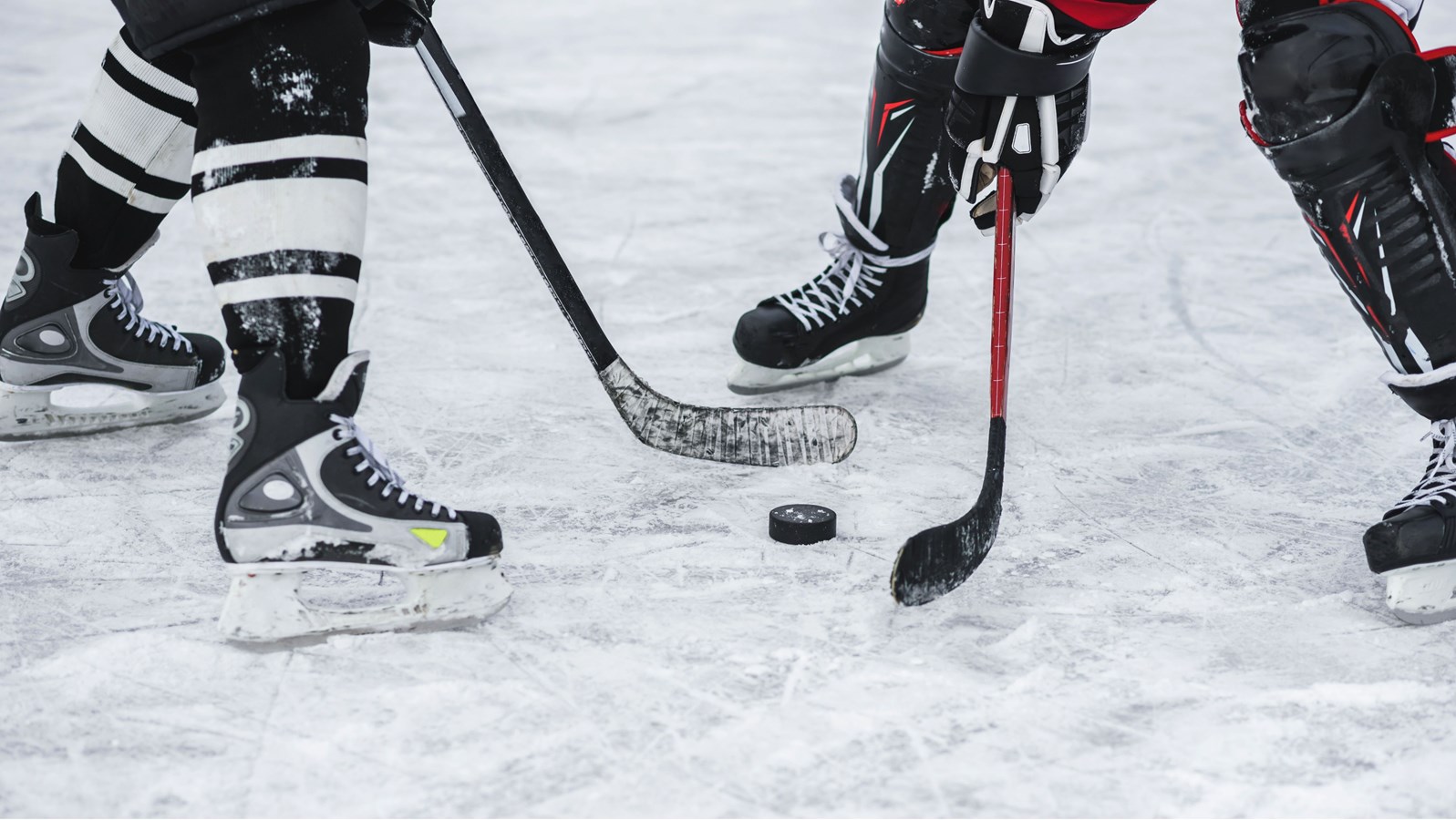 Un début de saison difficile pour le Nordik Blades