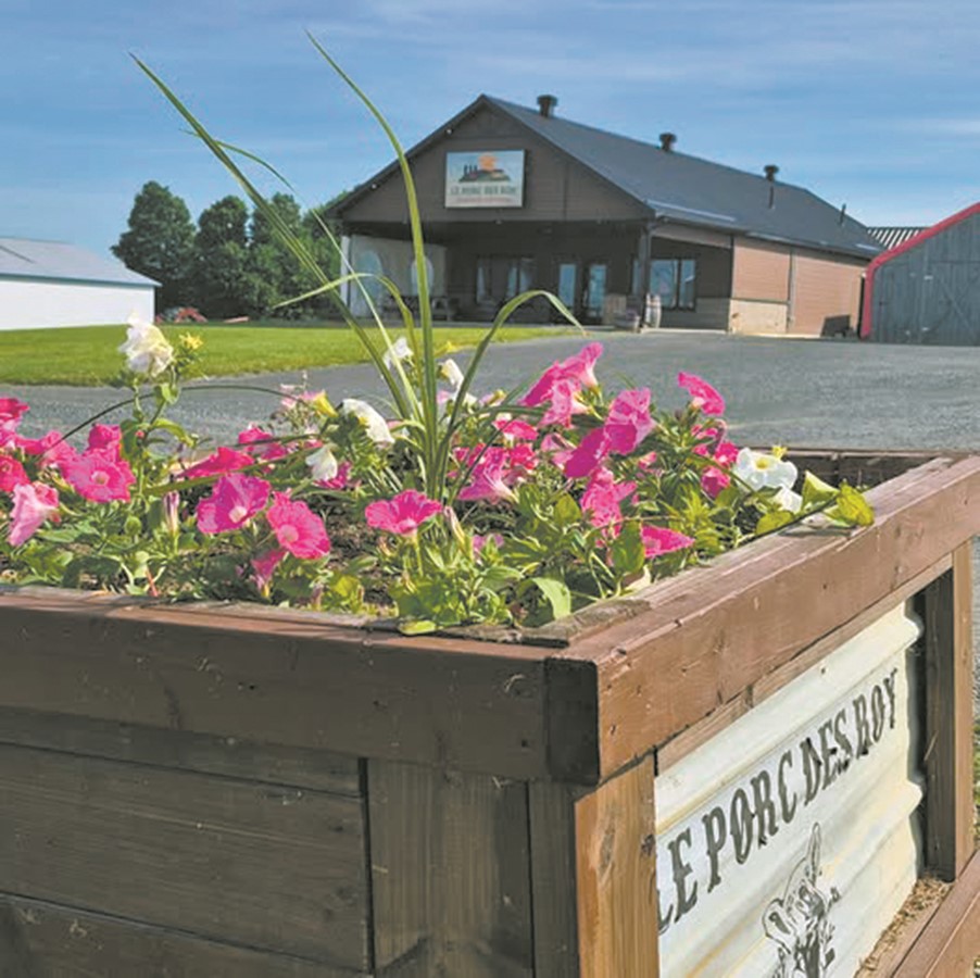 Ferme S. Roy inc. : Une troisième génération de producteurs porcins passionnés